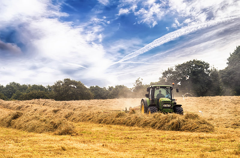 agriculteur qui fait du foin dans son champ